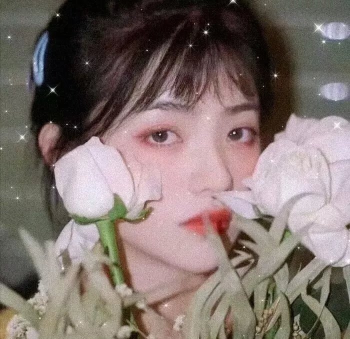 爱丽丝姨妈