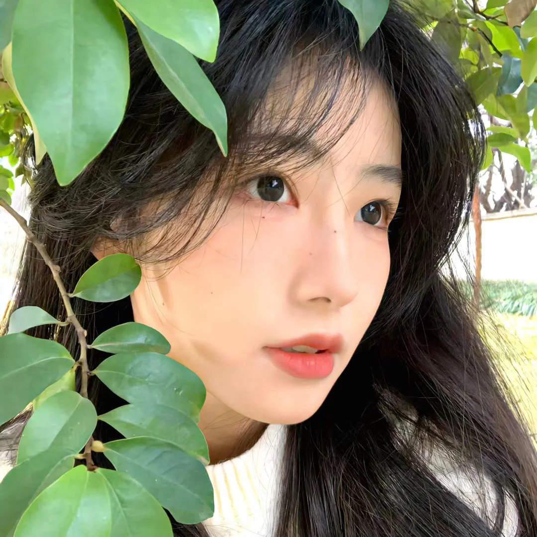 不夜城
